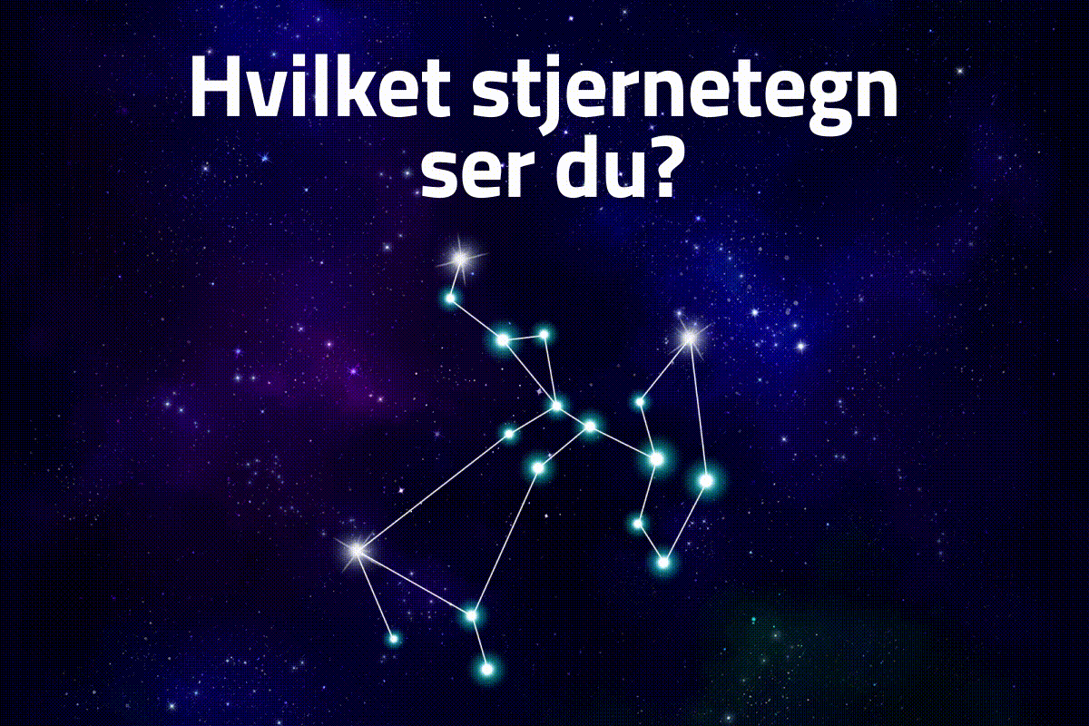 Hvilket stjernetegn ser du?