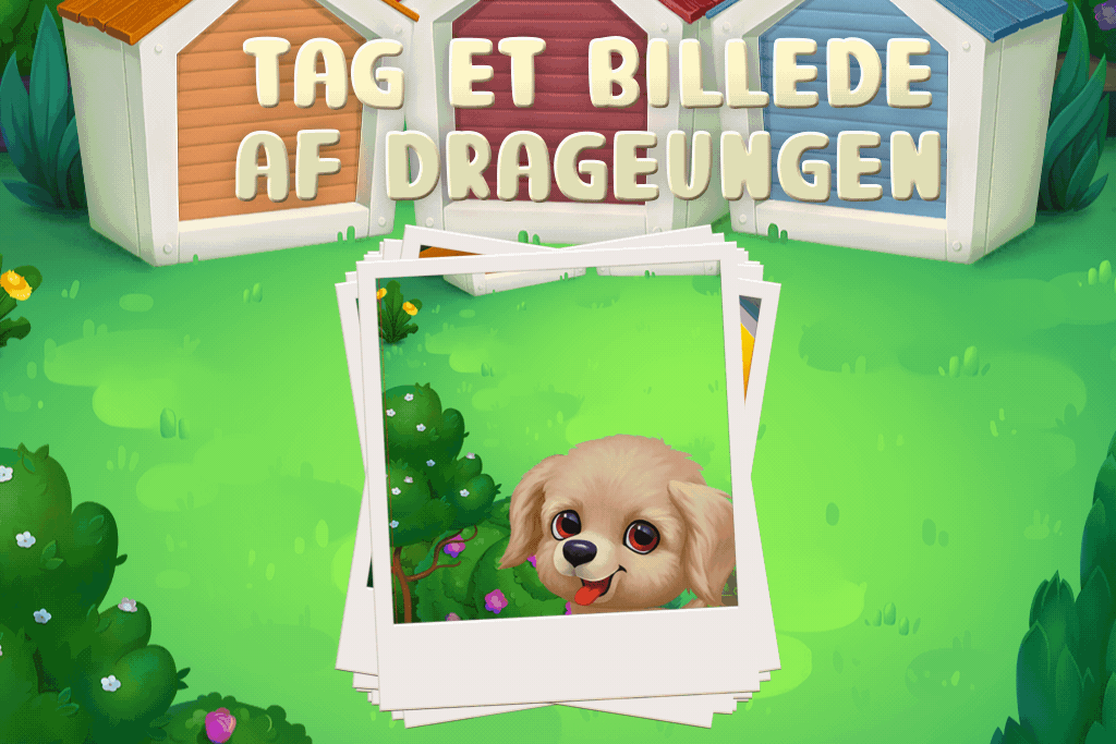 Tag et billede af dragen og vind!