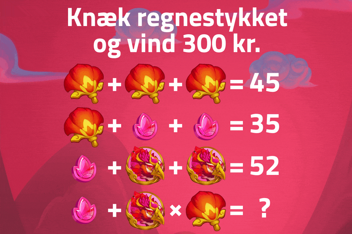 Knæk regnestykket og vind 300 kr.